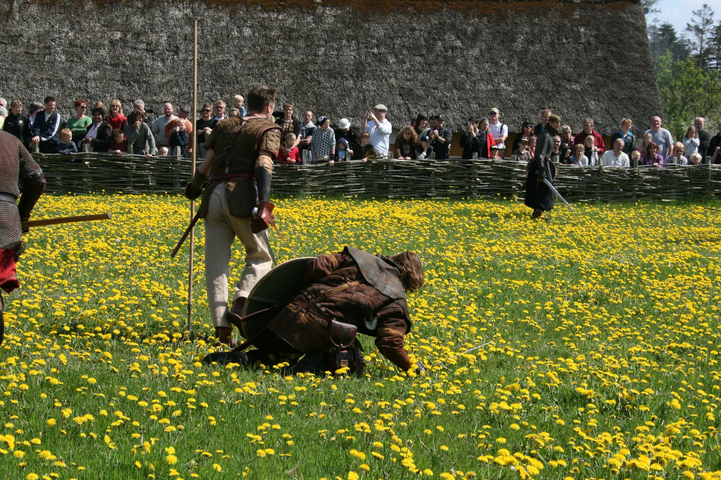Medieval reenactment in a grassy field